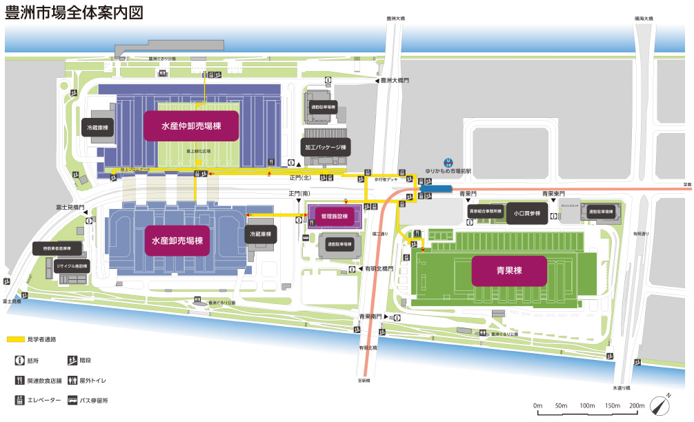 豊洲市場全体案内図