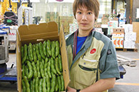 生産者