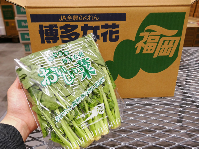 おいしい菜 東京シティ青果株式会社 おいしい菜 東京シティ青果株式会社