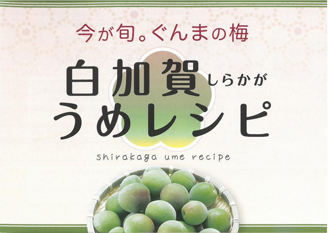 300円 最安値挑戦！ 群馬産 白加賀梅 500ｇ 調味梅