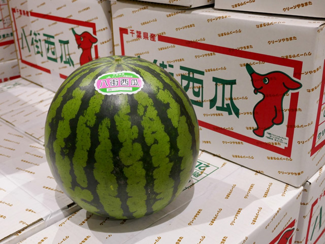 西瓜 東京シティ青果株式会社