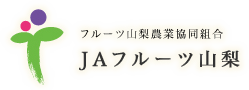 JAt[cRuR̓Isv
